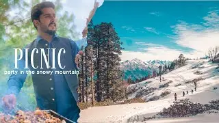 Snow Forest Picnic | A Peaceful Winter Escape |