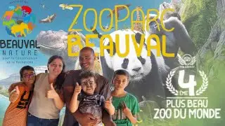 On visite le 4e plus beau zoo du Monde! Le zoo de Beauval à Saint Aignan