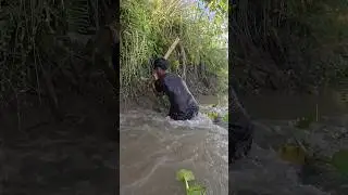 Amazing Rural Boys Catch Fish in Jungle with Bamboo Tools