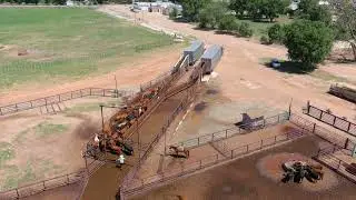 How Stockers & Feedyards are Using FerAppease