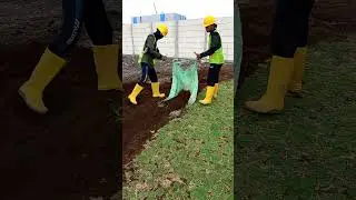 #yutubeshorts #videos #aktifitas #nature #lendscape
