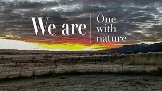 Highview Angus Ranch - Our Business~Our Life