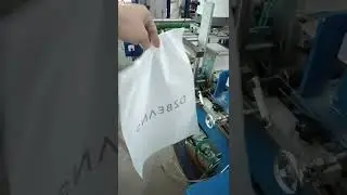 Custom Clear Frosted Zip Lock Bags With Logo Clothing Packaging Bag Printed Tshirt Plastic Poly Bag