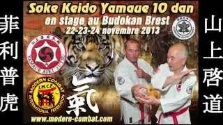 IMCF-Aiki Jutsu Yamaue Combat system