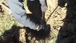 Employee Training: Poly Tee Install