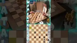 Fatality. Chess Fight Night. CFN