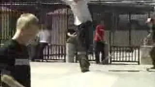 Gods of Skating - Anrew Reynolds
