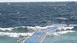 Eco-Docks in the waves 11