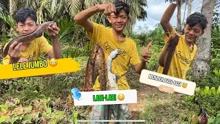 DAPAT IKAN BESAR-BESAR TEMAN-TEMAN.LELE SAMA LABI-LABI 😳😳#mancing 