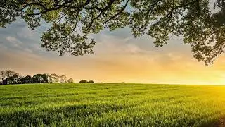 [INTIMATE, EMOTIONAL, CHAMBER MUSIC] HOLDING ON TO HOPE - 2023