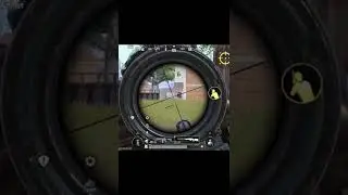 dp 6x spray