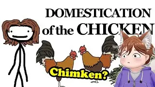So This is Where Chickens Come From? | Sam O'Nella Reaction