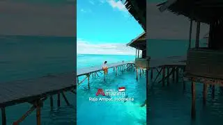 Indonesia - Raja Ampat #amazing #video