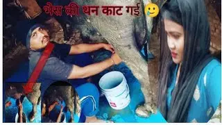 बहुत दर्द हो रही होगी 🥲 जानवर बोल नहीं सकती बोल कर !! bobita vlogs 