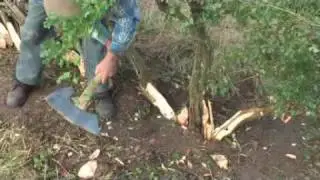 Cheshire Hedgecutting 2008