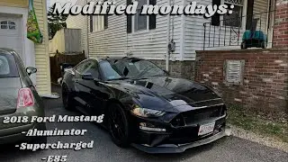 Modified Mondays [2018 Mustang Supercharged Aluminator]