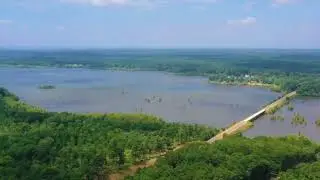 1.54 m/l Acre in San Augustine County, TX