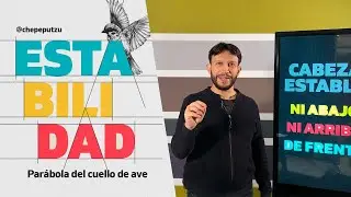 ESTABILIDAD - CHEPE PUTZU