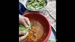 دولمة عراقية من ايد الحجية 😍😋❤️