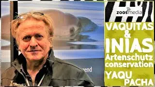 YAQU PACHA: Schutz für VAQUITAS & INIAS 💧 | zoos.media