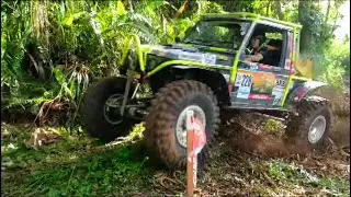 Borneo Safari 2025 (228) (Young Guns) (SS1)