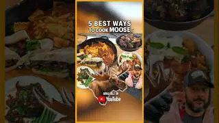 The 5 BEST Ways To Cook Moose Meat! #cooking #recipe #meat #steak #sandwich #howto #food