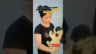 jiska ghar basse fir kabhi ni hasse😂😂😁😁shorts#viral#video#funny#varshasolanki#chottudada#