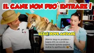 IL CANE NON PUÒ ENTRARE - ECCO DOVE ANDARE *tanti bei posti*