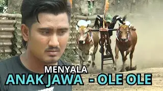 LATIHAN SERU  TIM ANAK JAWA  - OLE OLE DI LAPANGAN SEMIPRO PROBOLINGGO