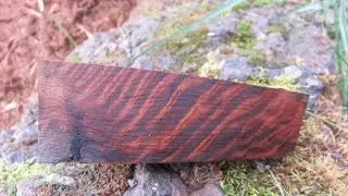 stabilized wood and my new shop