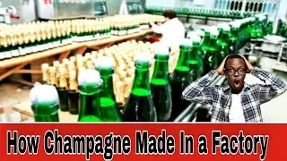 It's Amazing To See How Champagne is Made in a Factory
