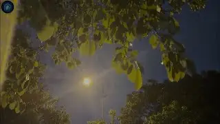 Heavy Rain and Thunder Sounds for Sleeping - No Ads | Dark Storm Ambience for Insomnia