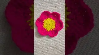 Crochet Daisy coaster | Daisy flower #crocheting #crochet #tryingnewthings #diy #shorts