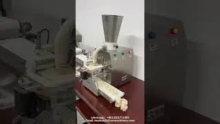 Fully automatic shao mai and baozi machine