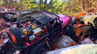 Cj7 on Exocagedrc ProCodes