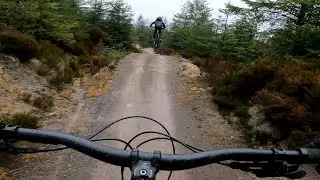 Bird Aether 7 - Joel's first ride #birdbikes #fatherson #mtb