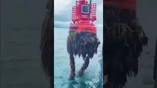 NauticalAdventures