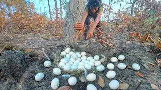 unique fishing! Collect as many eggs under the trees as possible by the best fisherman