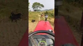 tractor video #shorts #tractor #ride #video
