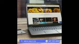 Toronto Web Design Company