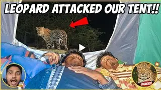 Jungle Camping Gone Wrong | Real Night आधी रात को आ गया बाघ 😱 