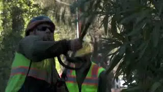 Vegetation Road Clearance Program