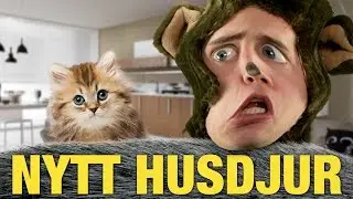 NYTT HUSDJUR