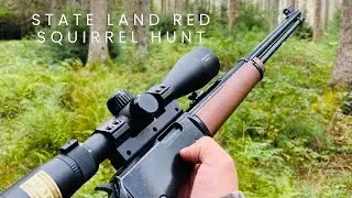 State Land Red Squirrel Hunt