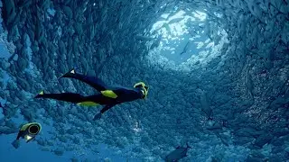 ABZ&Ucirc; | FULL GAME (Live Stream)