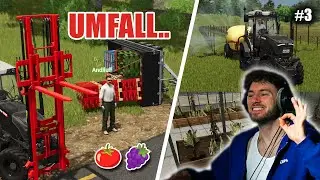 WEINBAU und TOMATEN🍅🍇 Es wird gearbeitet mit dem was man hat 😂 Landwirtschafts-Simulator 25
