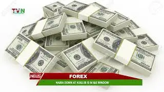 FOREX: NAIRA DOWN AT N362.58 /$ IN I&E WINDOW