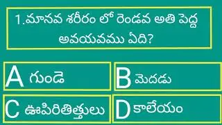Gk interesting questions in telugu ! General knowledge in Telugu ! By sa thoughts in telugu