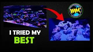 WWC Aquascape Attempt in My 400-Gallon SALTWATER REEF Tank | Did I Nail It?