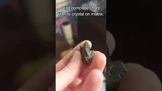 Sharp Dark Titanite Crystal on Matrix! Ontario Rockhound